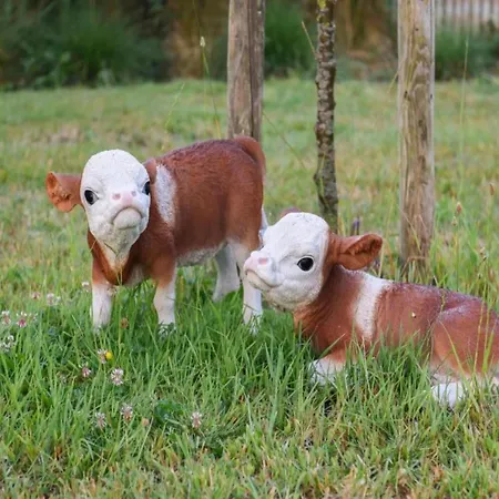 דירה Near Marina ניופורט