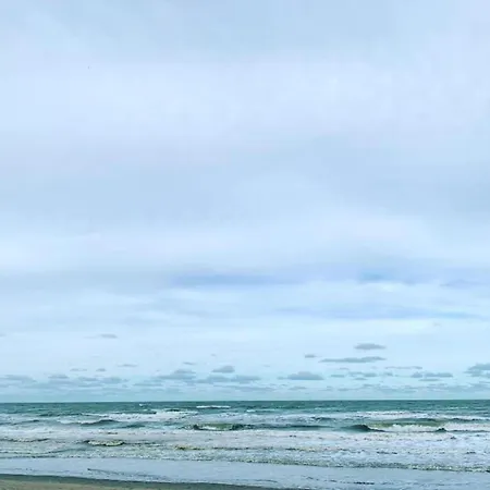 Near Marina Apartment