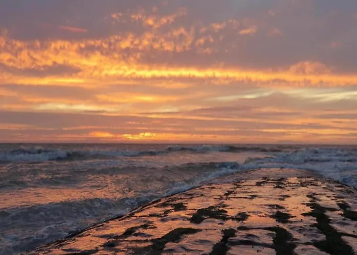Near Marina Nieuwpoort
